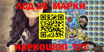 шишки Кимры