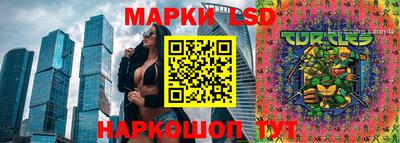 круглые Кингисепп