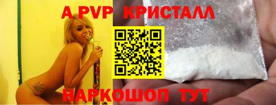круглые Кингисепп