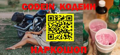 шишки Кимры