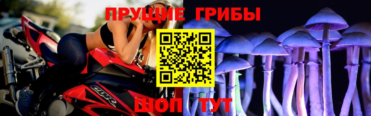 Галлюциногенные грибы мухоморы Куйбышев